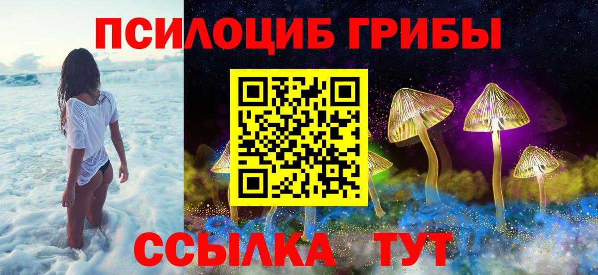 Барабинск  дарнет шоп  Вход с VPN  Псилоцибиновые грибы MAGIC MUSHROOMS 
